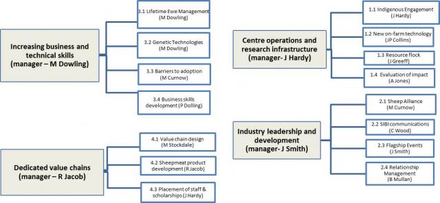 Organisational structure of the project
