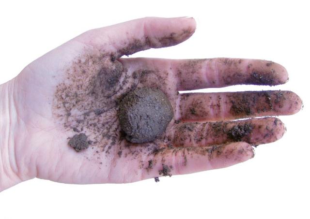 Photograph of a hand holding a soil sample that has been moulded into a ball
