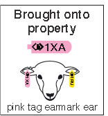 A pink NLIS tag must be fitted to the earmark ear if goats or sheep are brought into your property