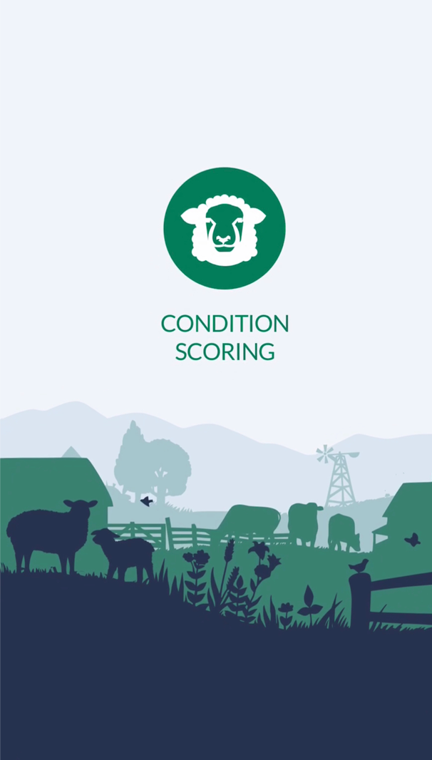 Sheep Condition Scoring app start screen