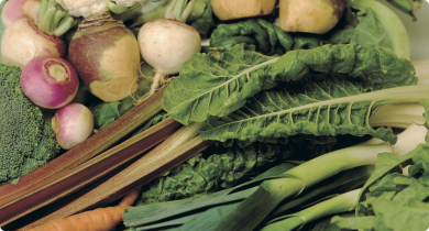 A photograph of vegetables produced using an organic production system.