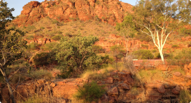 Kimberley view of breakaway hill