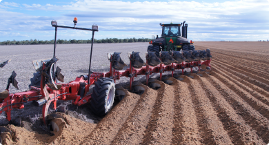 One-off soil inversion using a mouldboard plough