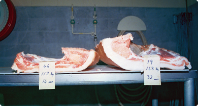 Two cuts of meat displaying the difference in back fat between different weight ranges.