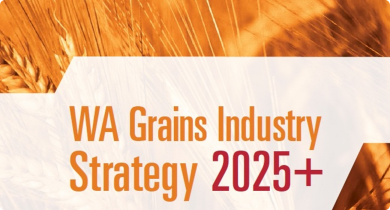 WA Grains Industry Strategy 2025+ cover image