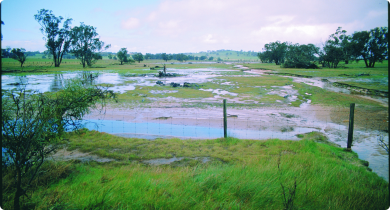 Paddock with excess water, covered by eroded soil