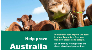 A poster with a picture of a cow and the words help prove australia is free from mad cow disease and scrapie.