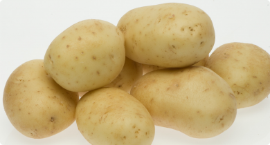 Close up of white star potatoes on white background
