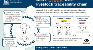 Register as an owner of livestock, identify your livestock correctly