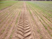 Surface soil compaction of cultivated gravelly clay