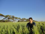 Martin Harries kneeling in a wheat crop