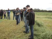 Farmers attending  a hay field day in Great Southern