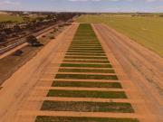 Merredin drone image of field trial
