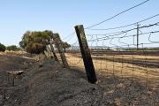 A fence burnt by a fire in a blackened paddock.