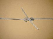 A figure eight knot. A figure eight knot.
