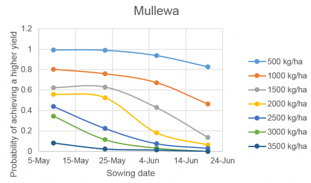 Figure 2a Probability of achieving specified yields at Mullewa in Western Australia after a dry summer