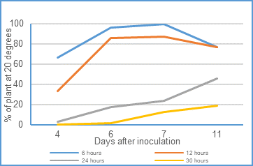 Figure 3. Impact on WPM infection over 11 days after 4 different exposure times to 25 degrees, expressed as a percentage of that at 20 degrees (LSD at 4d 8.6%, 6d 18.1%, 7d 29.4%, 11d 19.6%)