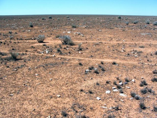Photograph of a Nullarbor community in poor condition