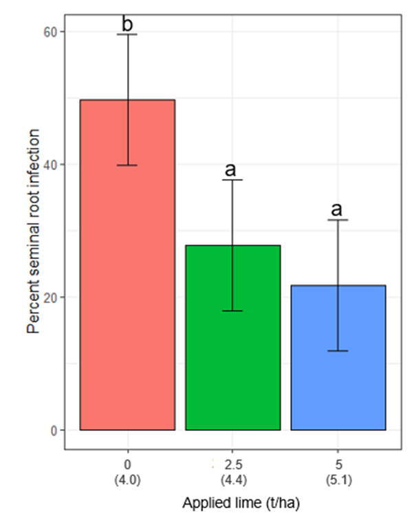 Figure 2. Mean seminal root infection (%) by Rhizoctonia solani of barley root on plots in 2020 that received different rates of lime (0, 2.5 and 5.0t/ha) in 2012 at Wongan Hills, WA. In parenthesis are the average pH in June 2020 at the 0-10cm depth acro