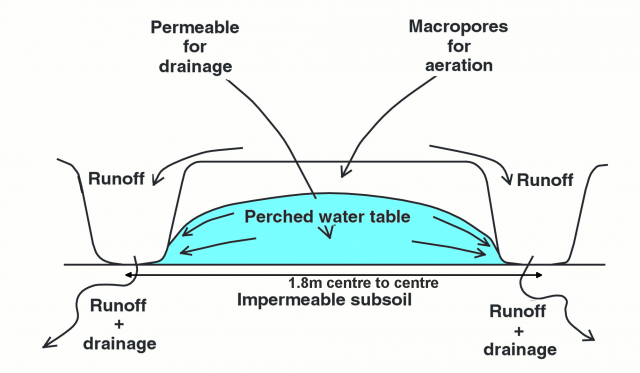 Diagram of a cross-section of a raised bed, and the way it operates to drain and aerate soil to prevent waterlogging