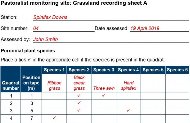 Form showing recording of the frequency of perennial grasses