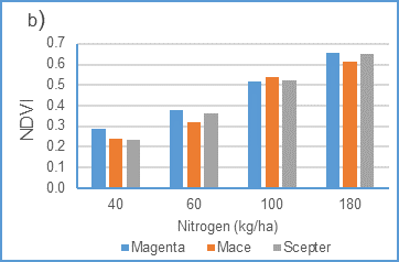 Figure 5b: Impact of rates of nitrogen applied on ) NDVI (LSD: N level 0.03, variety 0.02, N x var 0.04)
