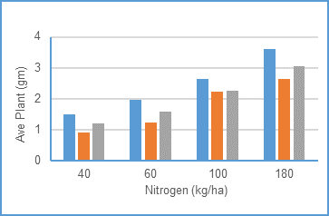 Figure 5: Impact of rates of nitrogen applied on yield of three wheat varieties at Shenton Park in 2018 (LSD: N level 0.31g, variety 0.26g, N x var 0.5g)
