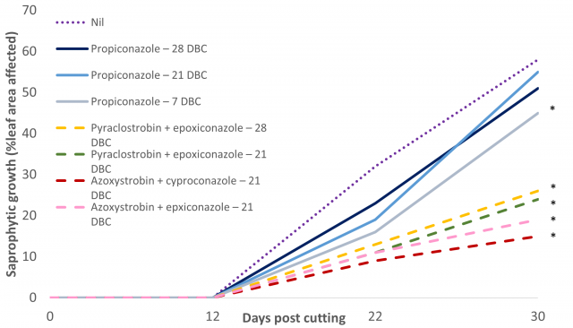 Figure 1 Saprophytic fungal growth on the windrow surface in the 2020 trial at Muresk, WA. Scores are averaged across replicates and are the mean of the % leaf area affected on 20 stems. NB. Propiconazole is a triazole based fungicide. Pyraclostrobin + e
