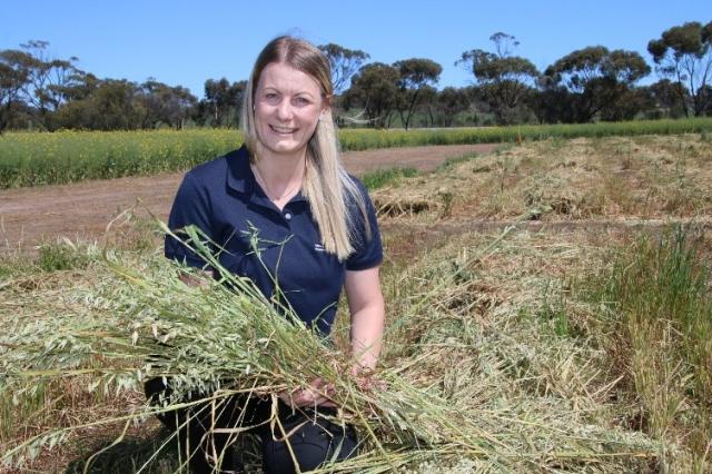 Plant pathologist Kylie Chambers at the 2020 Muresk trial (Photo courtesy: Christiaan Valentine, DPIRD).