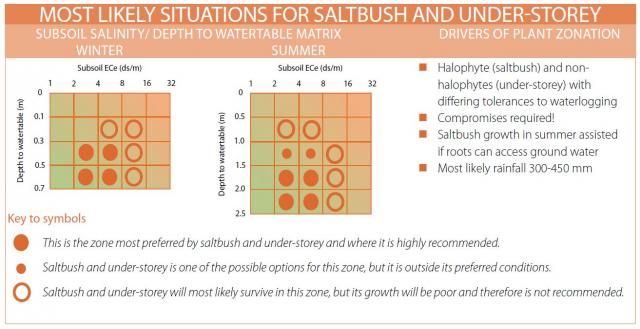 Graphic showing the most likely situation for saltbush plus understorey with salinity and watertable depth