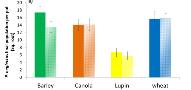 Figure 4 Glasshouse. Impact of low (5.1, solid bars) and moderate (6.7, striped bars) pH soil on a) Pratylenchus neglectus and b) P. quasitereoides final populations in wheat, barley, canola and lupin crops (n=6)