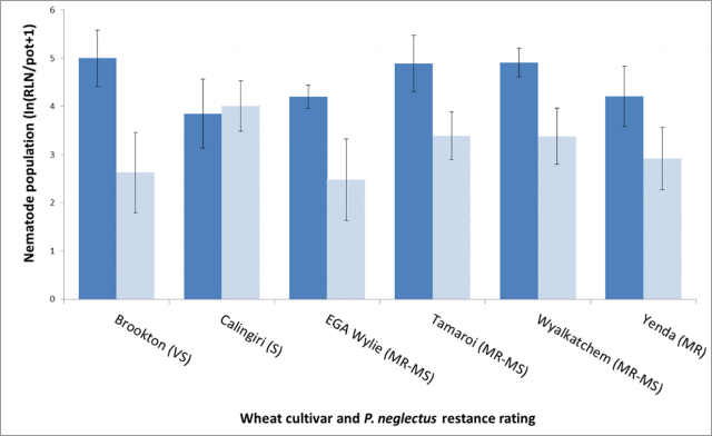 Figure 5. Glasshouse. Impact of low (4.7, blue bars) and moderate (6.4, light bars) pH soil on P. neglectus final populations in six wheat varieties with a range of P. neglectus resistance classifications (n=12).