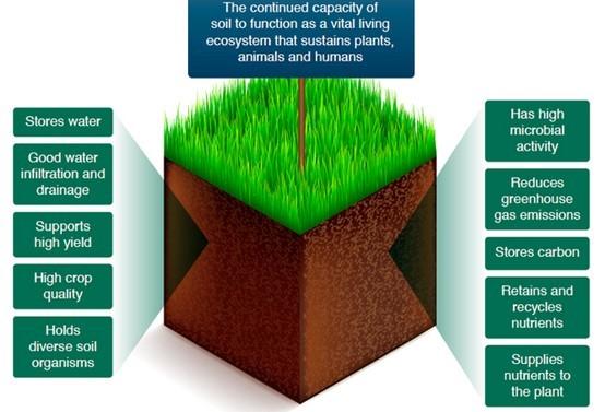 Soil advice