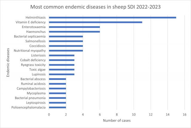 Most endemic diseases in sheep SDI 2022-23