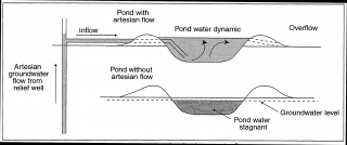 Line drawing of earthponds, with and without a relief well artesian flow