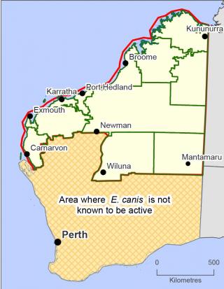 Map of where E canis is known to be active in WA