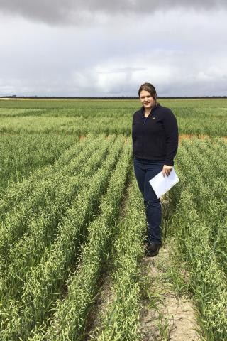 Georgie Troup standing in an oat field