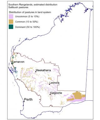 Line drawing map of the estimated distribution of saltbush pastures