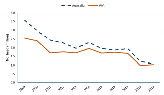 Chart illustrating the number of live sheep exports from Australia and WA between 2009 and 2019