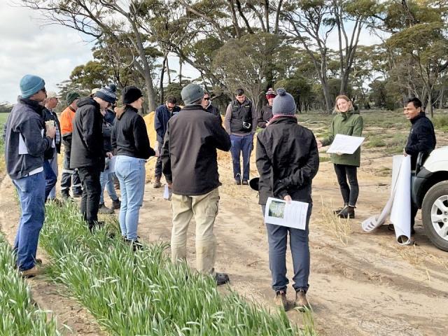 DPIRD research scientist Alice Butler with growers and consultants