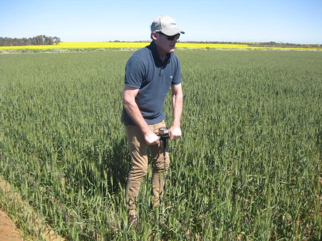 Demonstrating the use of a hand probe to measure compaction