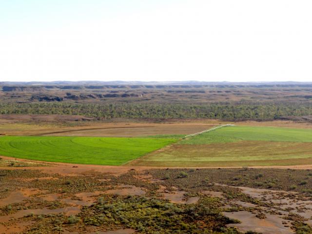 Aerial view of the Woodie Woodie irrigation trial site