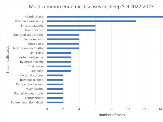Chart of commonly detected endemic diseases from SDIs in sheep