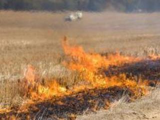 Burning stubble in a paddock