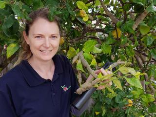 Woman standing near a citrus tree.