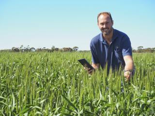 Man in a green crop with a mobile telephone.