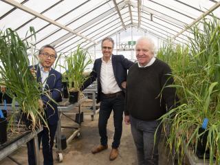 Three men standing in a glasshouse