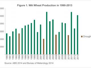 A column graph of wheat production in WA from 1990 to 2013. The graph demonstrates that there is a decrease in wheat production years of drought.
