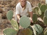 Biosecurity Officer Terri Jasper with Wheel cactus (Opuntia robusta) in Ejanding
