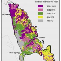 Broad scale map (1:250 000) of the Mullewa to Morawa Agzone showing the distribution of shallow loams over rock. Distribution is scattered from Mullewa to Wubin, with Mullewa showing 50–100% shallow loams and Morawa showing both 25–50% and 50–100%. 